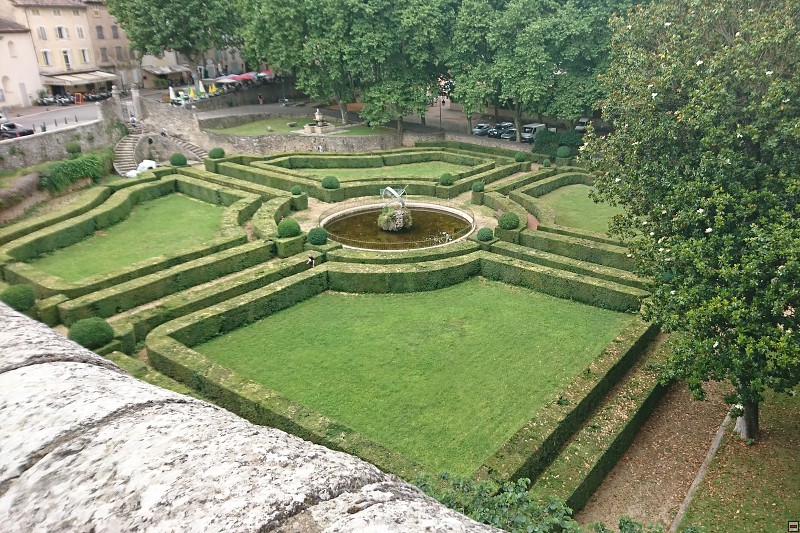 DSC_2939.jpg