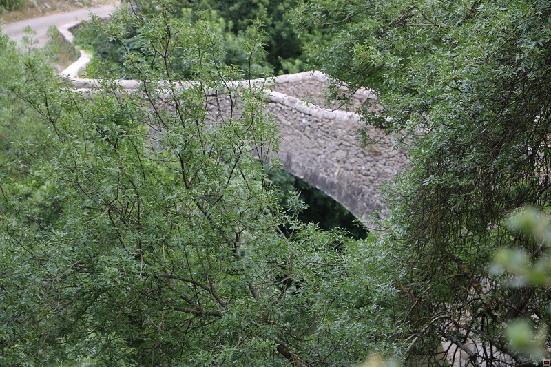 IMG_9467.jpg