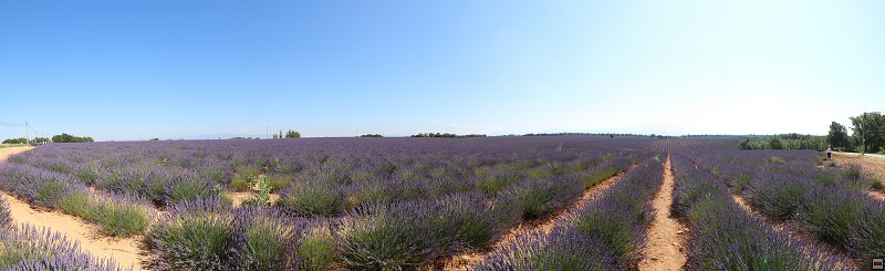 IMG_9487_panorama.jpg