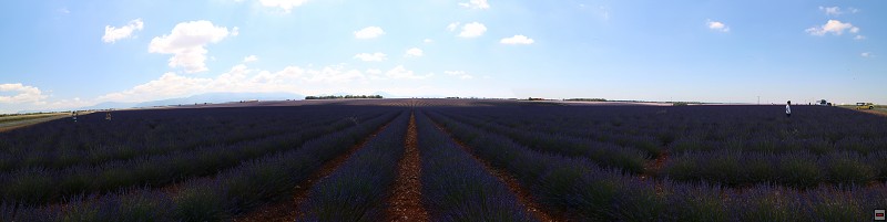 IMG_9510_panorama.jpg