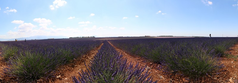 IMG_9522_panorama.jpg