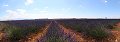 thn_IMG_9522_panorama.jpg
