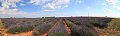 thn_IMG_9568_panorama.jpg