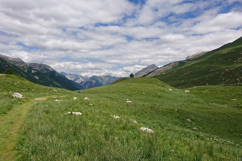 DSC_3016.jpg