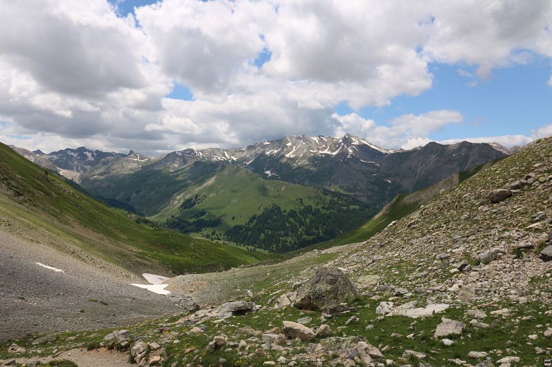 IMG_9641.jpg