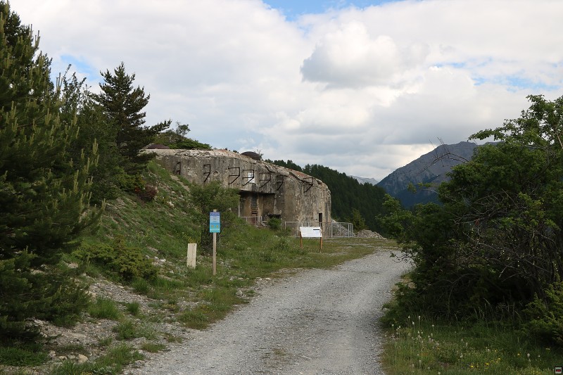 IMG_9737.jpg