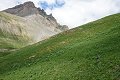 thn_DSC_3030.jpg