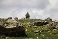 thn_IMG_9705.jpg