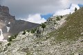 thn_IMG_9706.jpg