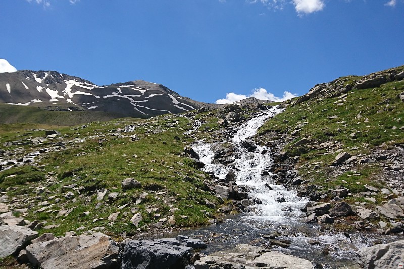 DSC_3090.jpg