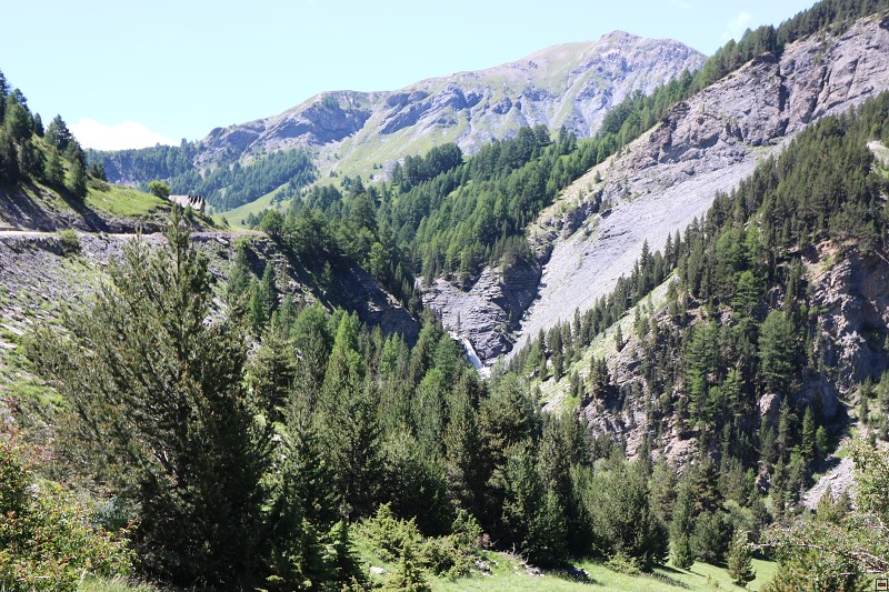 IMG_9753.jpg