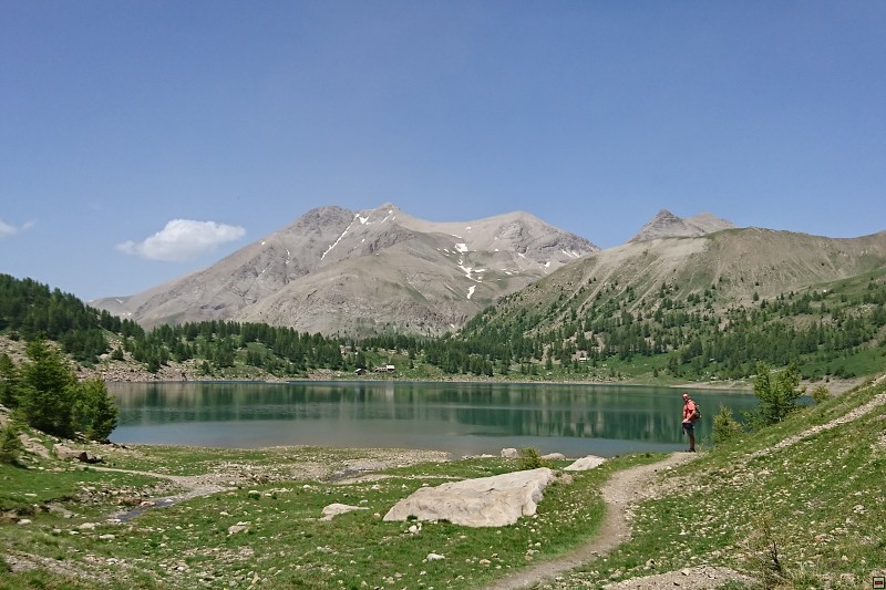 DSC_3129.jpg