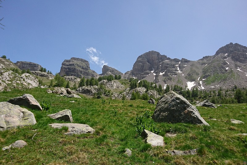 DSC_3130.jpg
