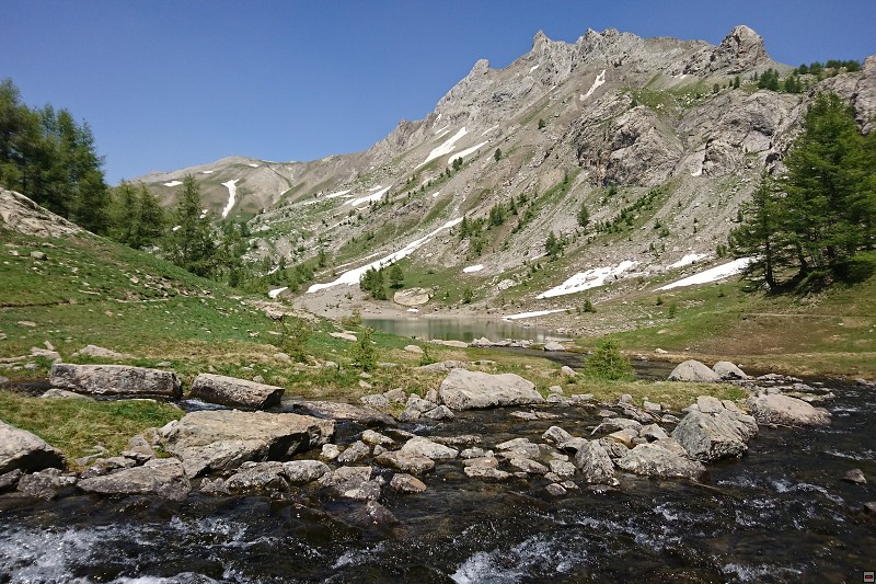 DSC_3133.jpg