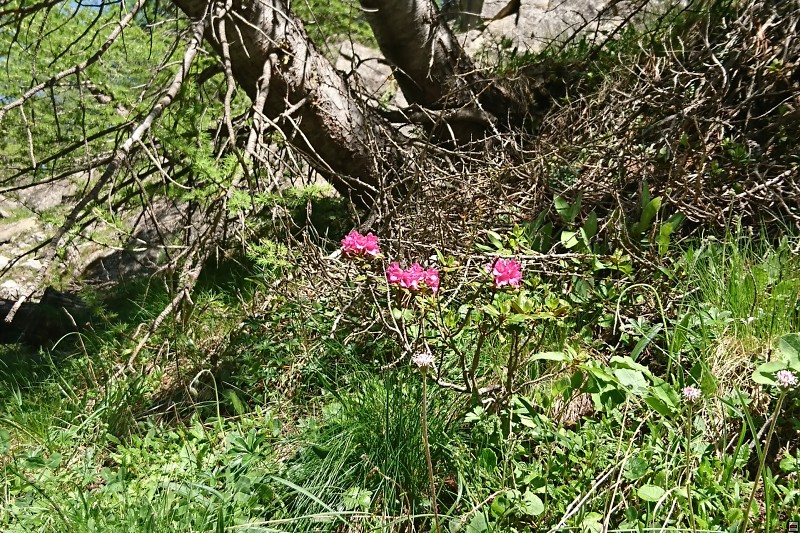 DSC_3148.jpg