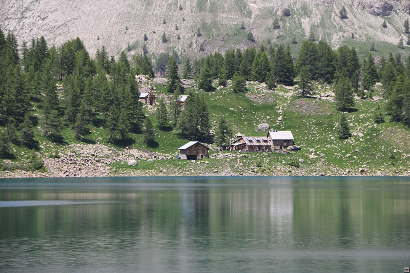IMG_9869.jpg