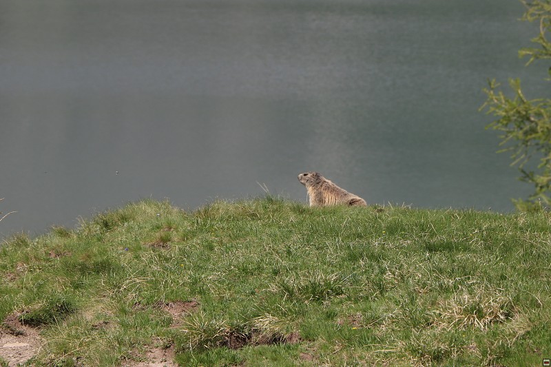 IMG_9889.jpg
