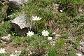 thn_DSC_3140.jpg