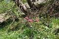 thn_DSC_3148.jpg