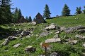 thn_IMG_9904.jpg
