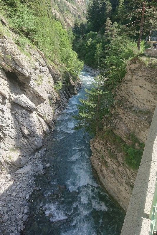 DSC_0333.jpg