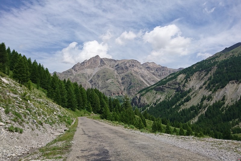 DSC_3165.jpg