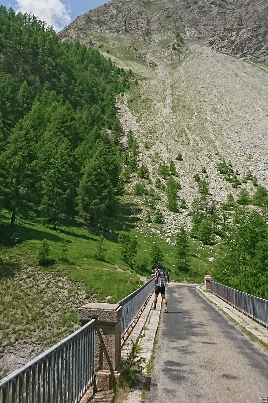 DSC_3174.jpg
