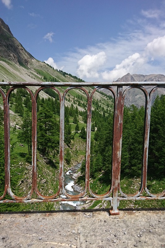 DSC_3178.jpg