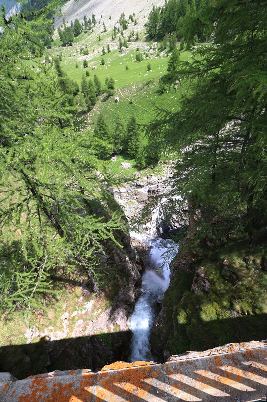 IMG_9940.jpg
