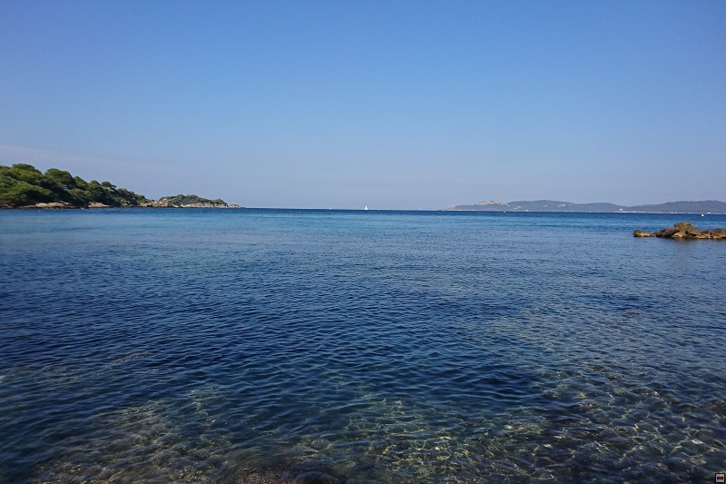 DSC_3187.jpg