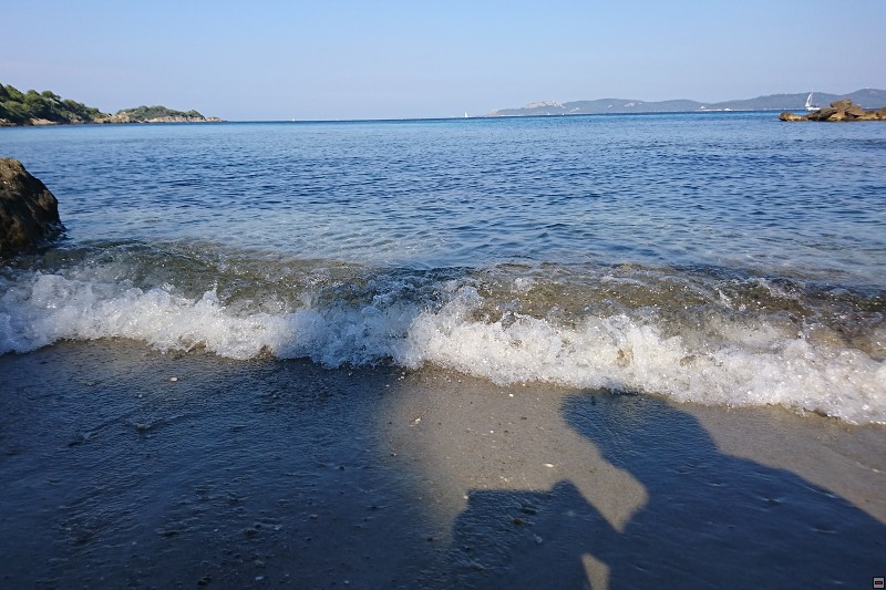 DSC_3196.jpg
