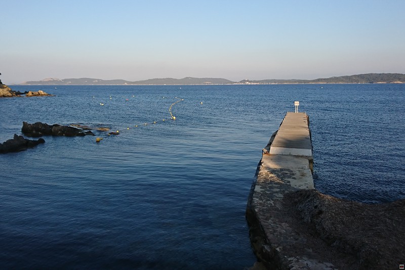 DSC_3202.jpg