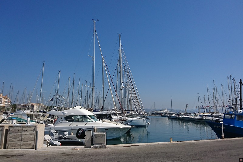 DSC_3203.jpg