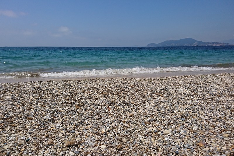 DSC_3207.jpg