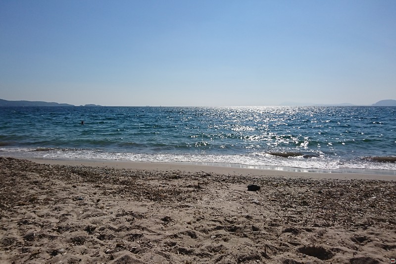 DSC_3209.jpg