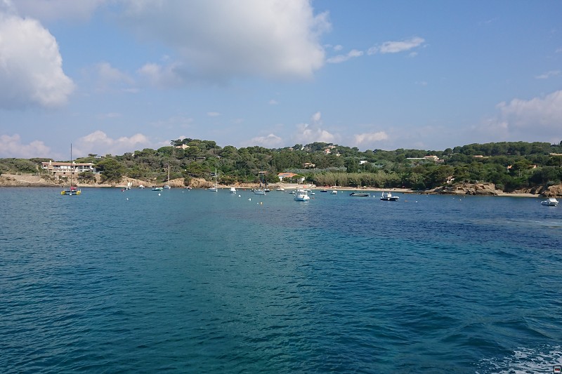 DSC_0353.jpg