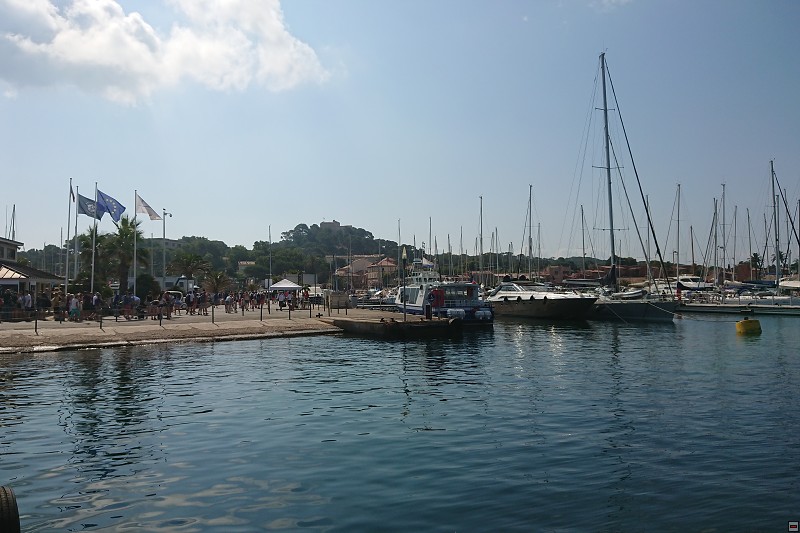 DSC_0365.jpg