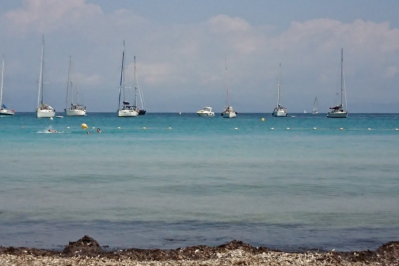DSC_3239.jpg