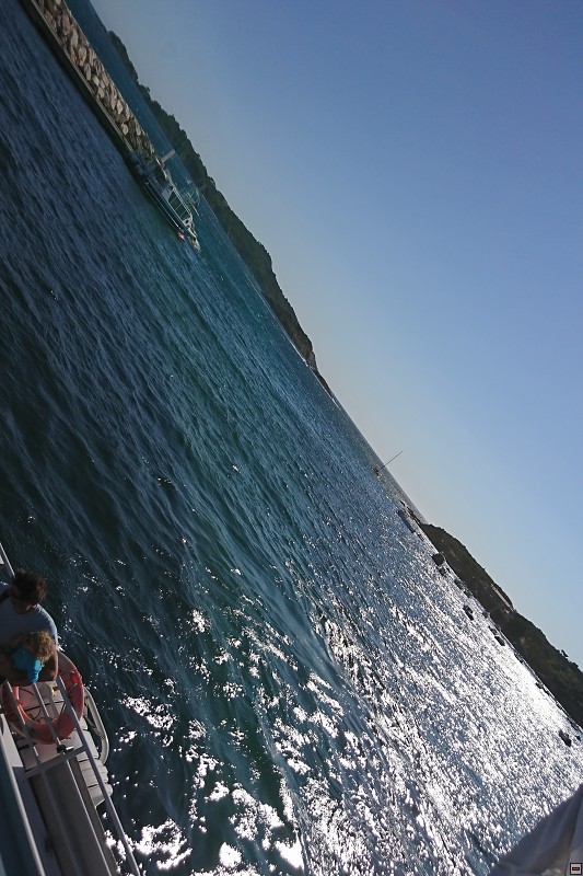 DSC_3252.jpg