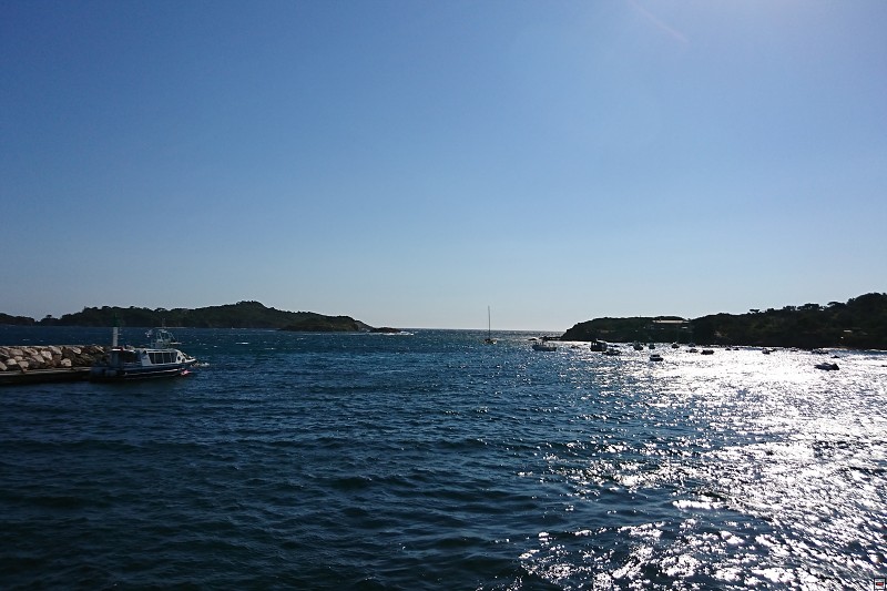 DSC_3253.jpg