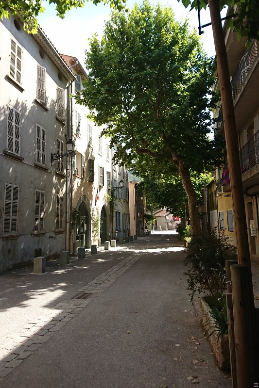 DSC_3272.jpg