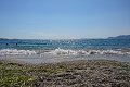 thn_DSC_3331.jpg