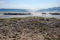 thn_DSC_3340.jpg