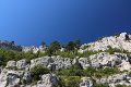 thn_IMG_0065.jpg