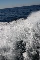thn_IMG_0082.jpg
