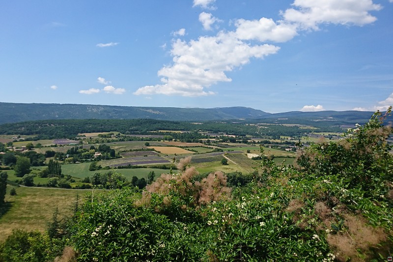 DSC_3352.jpg