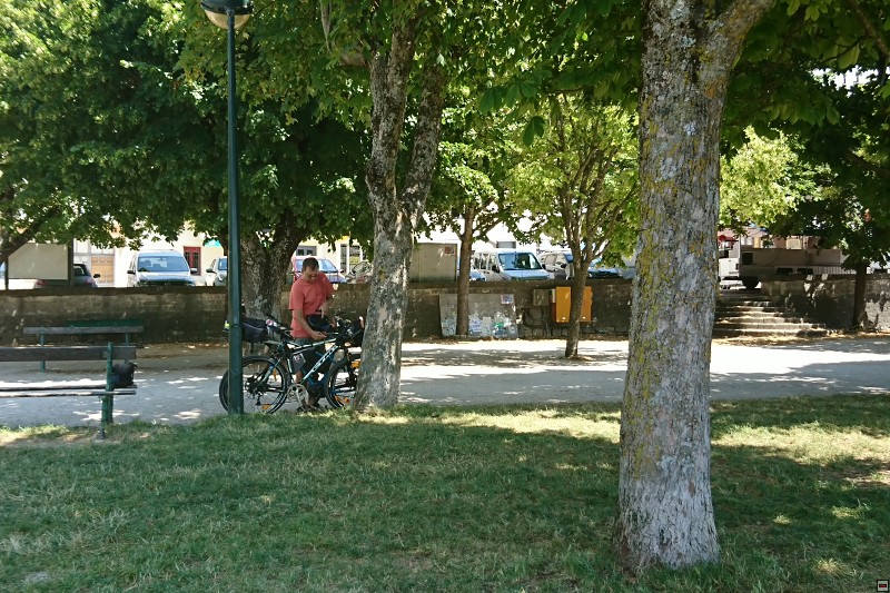 DSC_3353.jpg