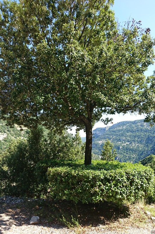 DSC_3383.jpg