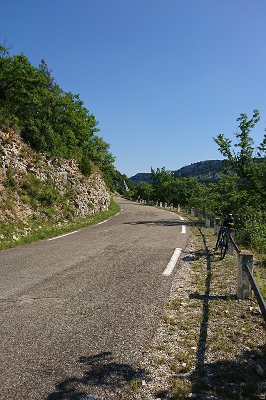 DSC_3388.jpg