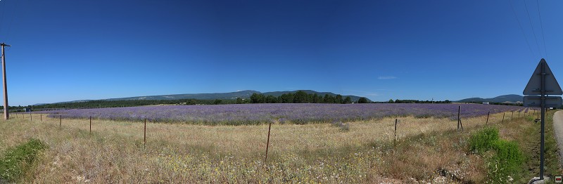 IMG_0257_panorama.jpg